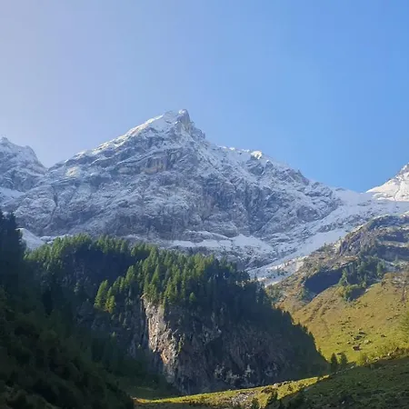 Apartamento Haus Enzian Kartitsch