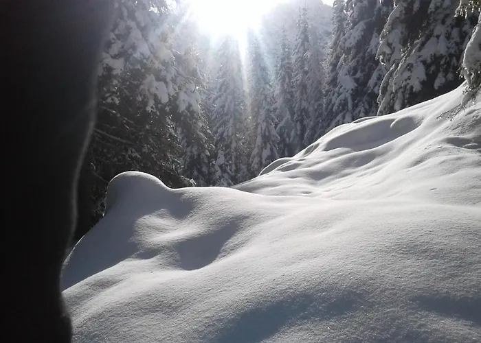 Haus Enzian Apartman